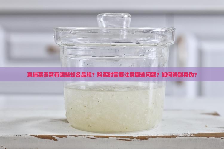 柬埔寨有哪些燕窝品牌