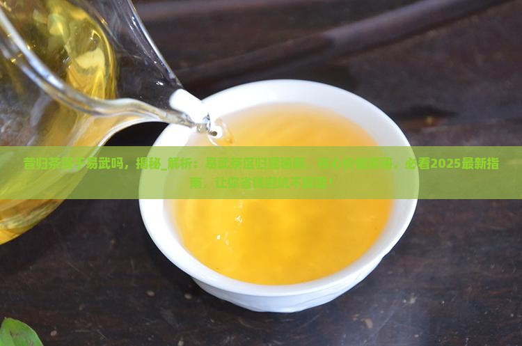 昔归茶属于易武吗 昔归茶属于易武吗