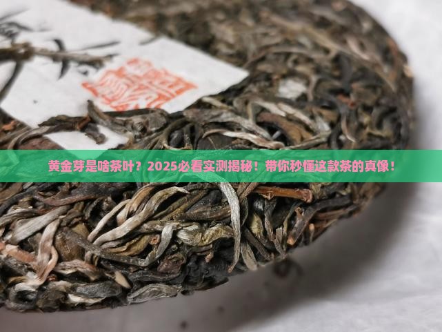 黄金芽是啥茶叶