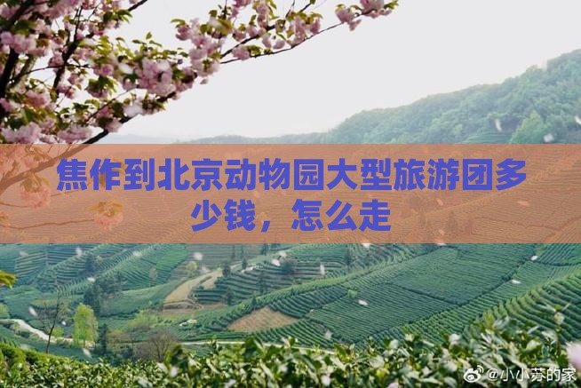 焦作到北京动物园大型旅游团