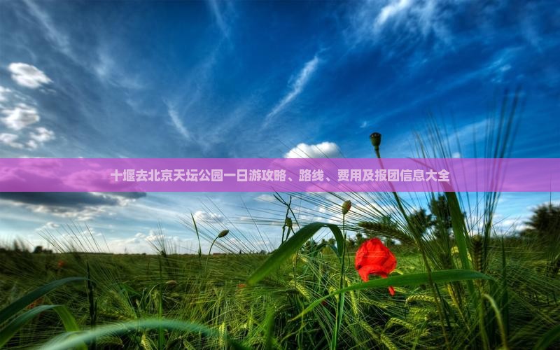 十堰去北京天坛公园一日游
