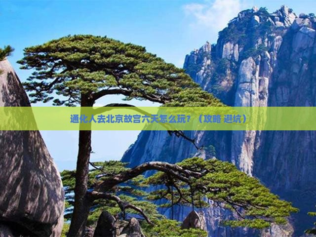 通化去北京故宫博物院六日游