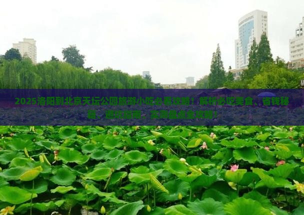 洛阳到北京天坛公园旅游小吃