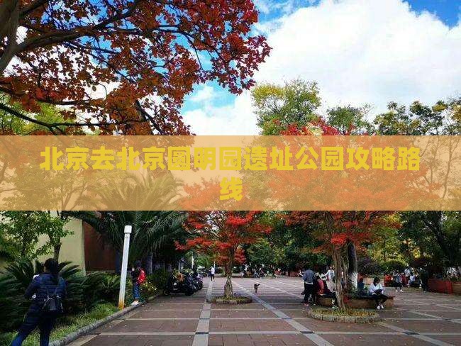 北京去北京圆明园遗址公园攻略