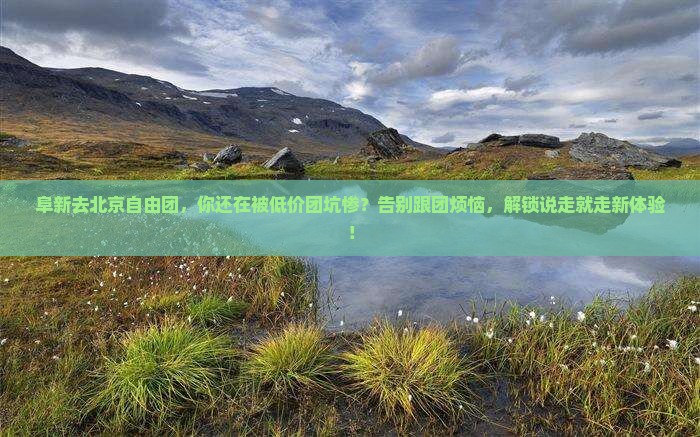 阜新去北京自由团