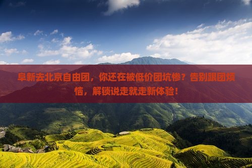 阜新去北京自由团