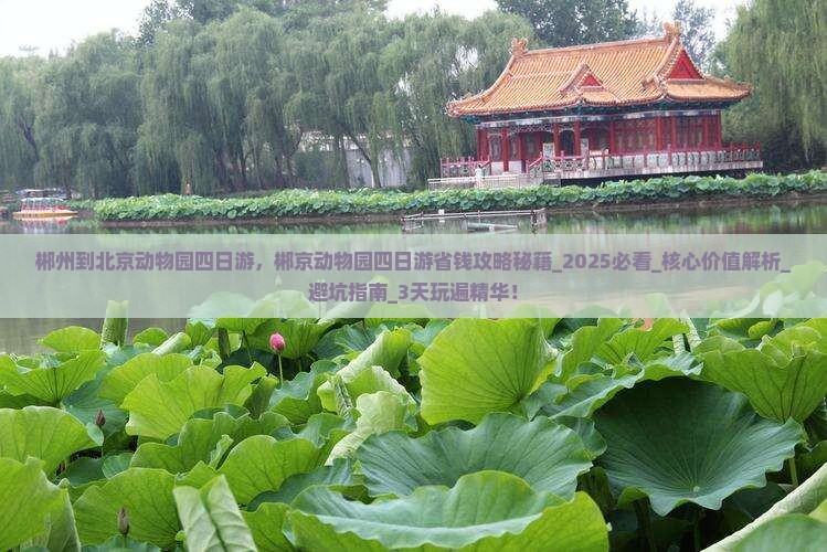 郴州到北京动物园四日游