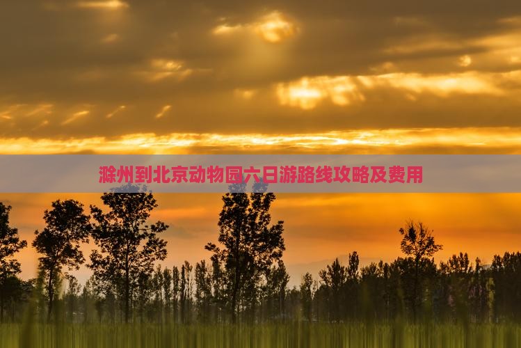 滁州到北京动物园六日游