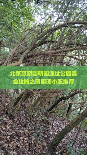 赤峰去北京圆明园遗址公园旅游小吃