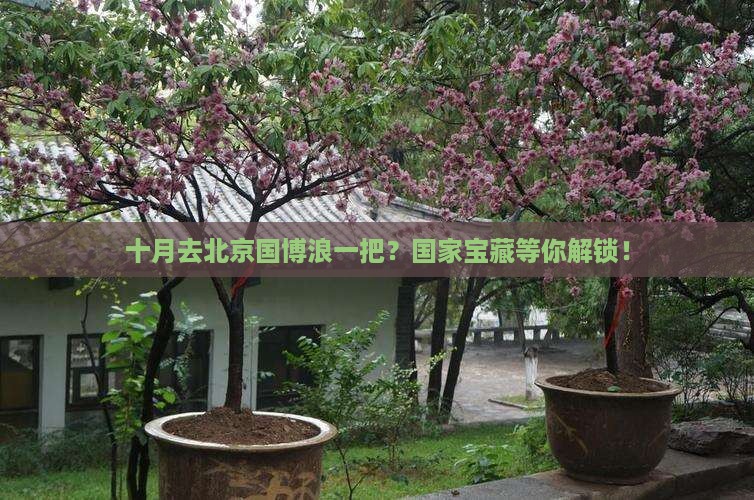 十月去北京中国国家博物馆自由行