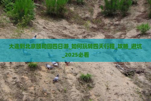 大连到北京颐和园四日游