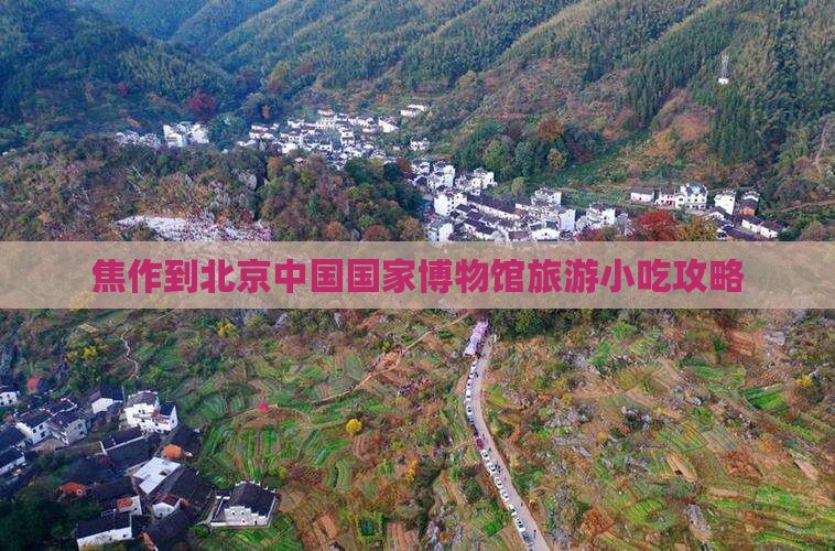 焦作到北京中国国家博物馆旅游小吃