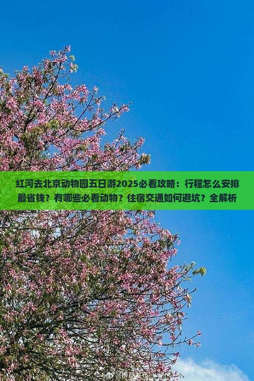 红河去北京动物园五日游