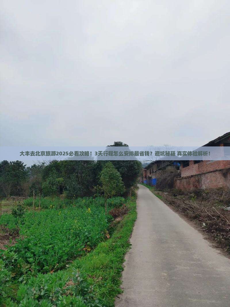 大丰去北京旅游