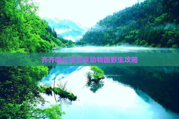 齐齐哈尔去北京动物园攻略
