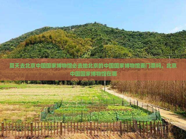 夏天去北京中国国家博物馆必去地