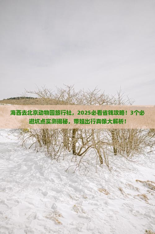 海西去北京动物园旅行社