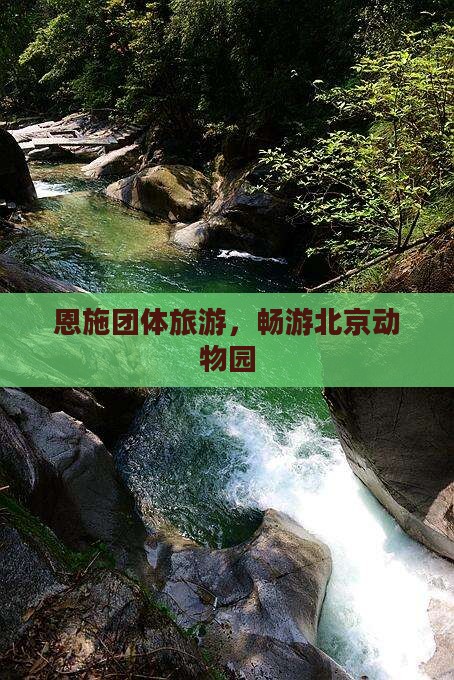 恩施到北京动物园团体旅游