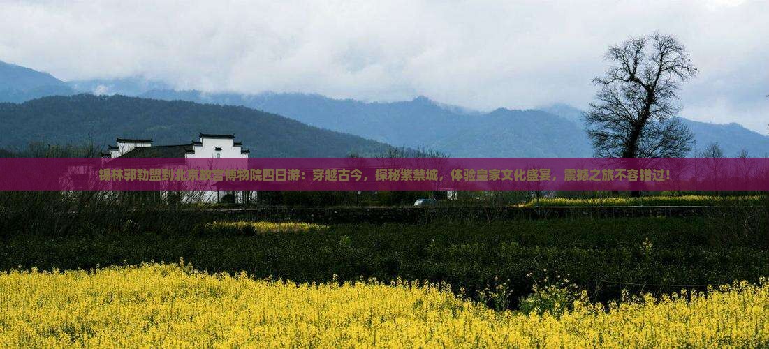锡林郭勒盟到北京故宫博物院四日游