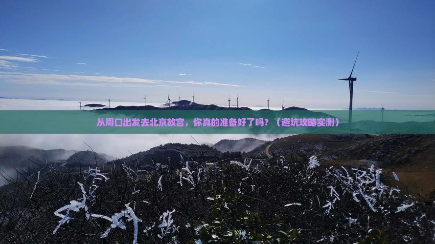 周口到北京故宫博物院个人游