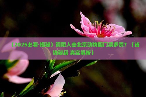 铜陵到北京动物园门票