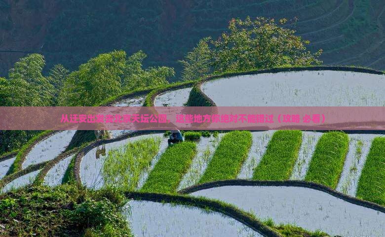 迁安去北京天坛公园必去地 迁安去北京天坛公园必去地
