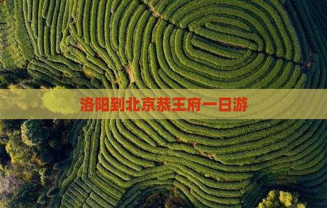 洛阳到北京恭王府一日游