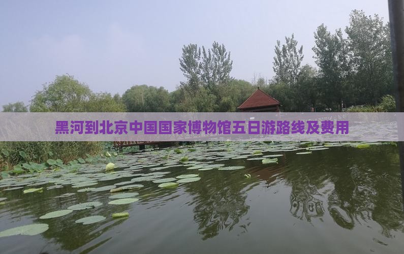 黑河到北京中国国家博物馆五日游
