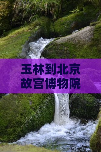 玉林到北京故宫博物院大型旅游团