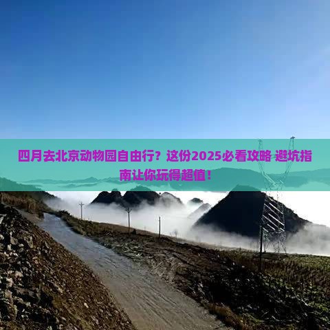 四月去北京动物园自由行