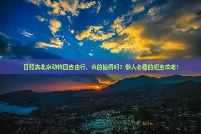 日照去北京动物园自由行