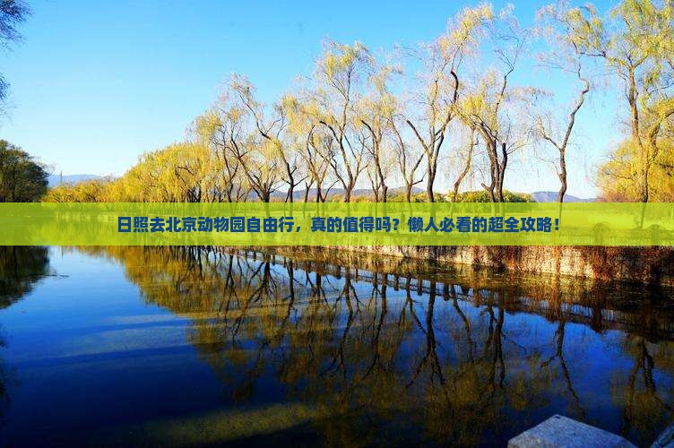 日照去北京动物园自由行