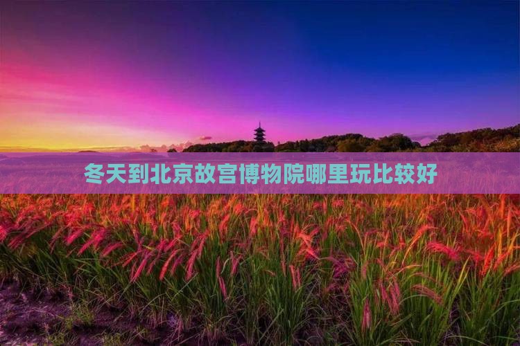 冬天到北京故宫博物院哪里玩