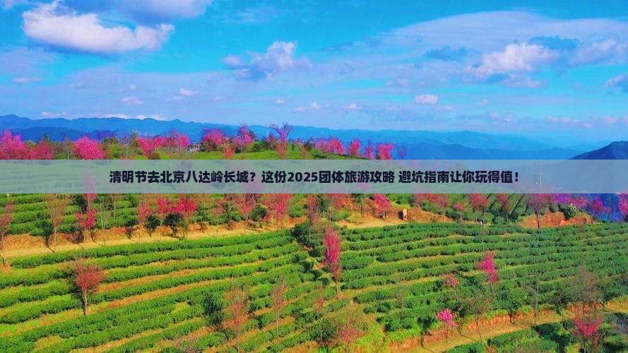 清明节去北京八达岭长城团体旅游