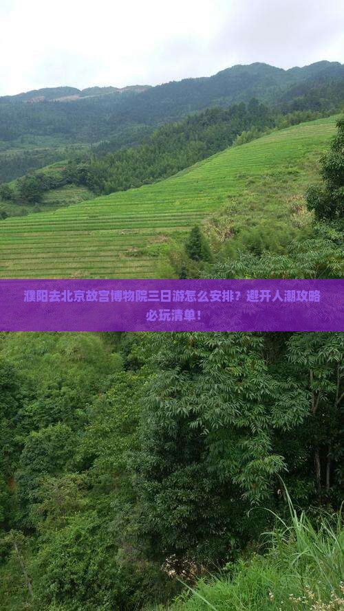 濮阳去北京故宫博物院三日游
