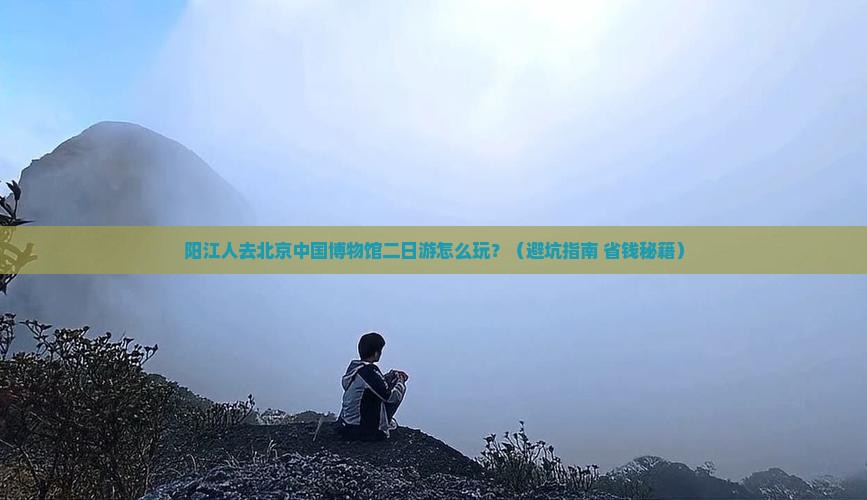 阳江去北京中国国家博物馆二日游