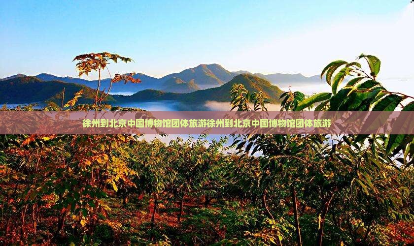 徐州到北京中国国家博物馆团体旅游