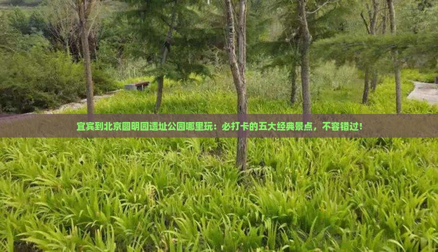 宜宾到北京圆明园遗址公园哪里玩