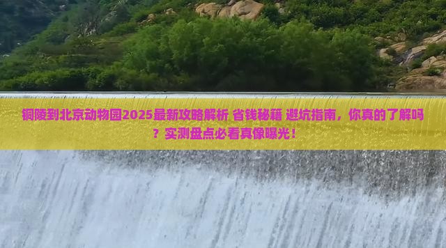 铜陵到北京动物园攻略