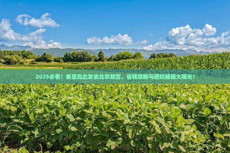 秦皇岛去北京故宫博物院旅游
