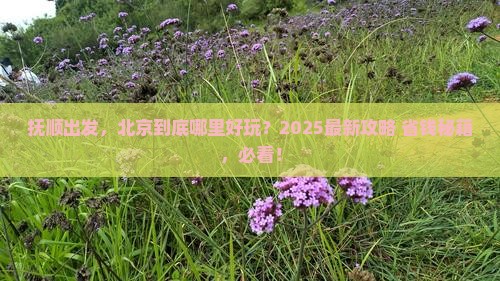抚顺到北京哪里玩