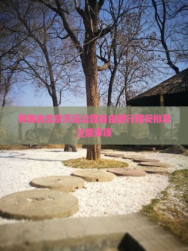 黄南去北京天坛公园自由团