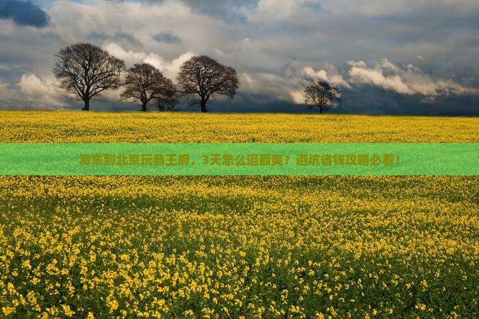 海东到北京恭王府哪里玩