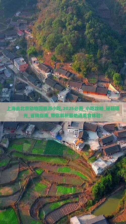 上海去北京动物园旅游小吃