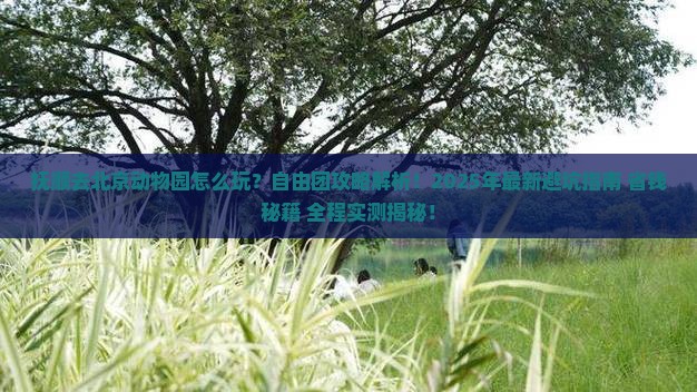 抚顺去北京动物园自由团