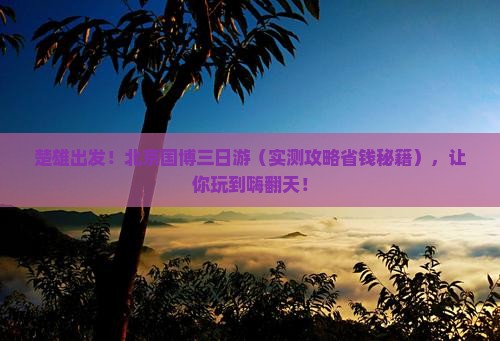 楚雄去北京中国国家博物馆三日游