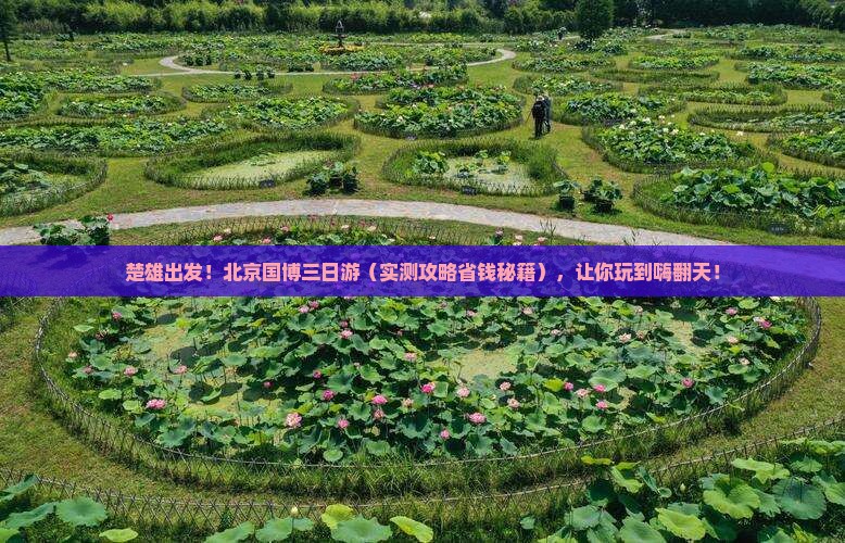 楚雄去北京中国国家博物馆三日游