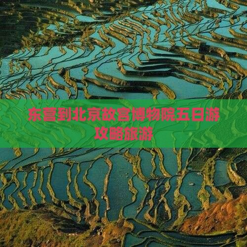 东营到北京故宫博物院五日游