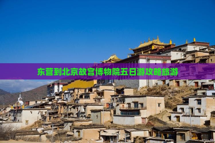 东营到北京故宫博物院五日游
