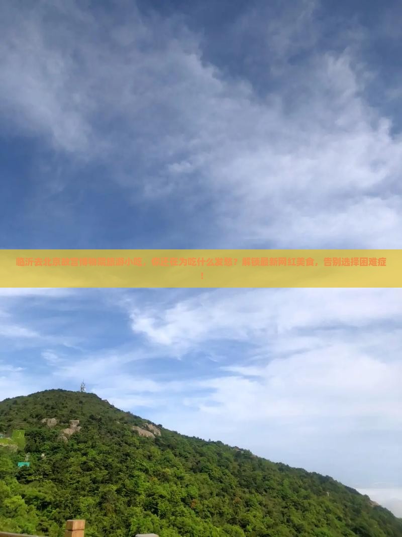 临沂去北京故宫博物院旅游小吃